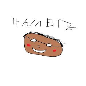 Player hametz avatar