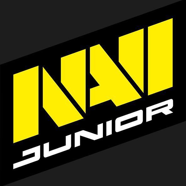 N1TRON avatar