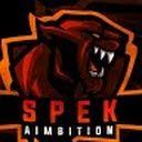 team_speK_777