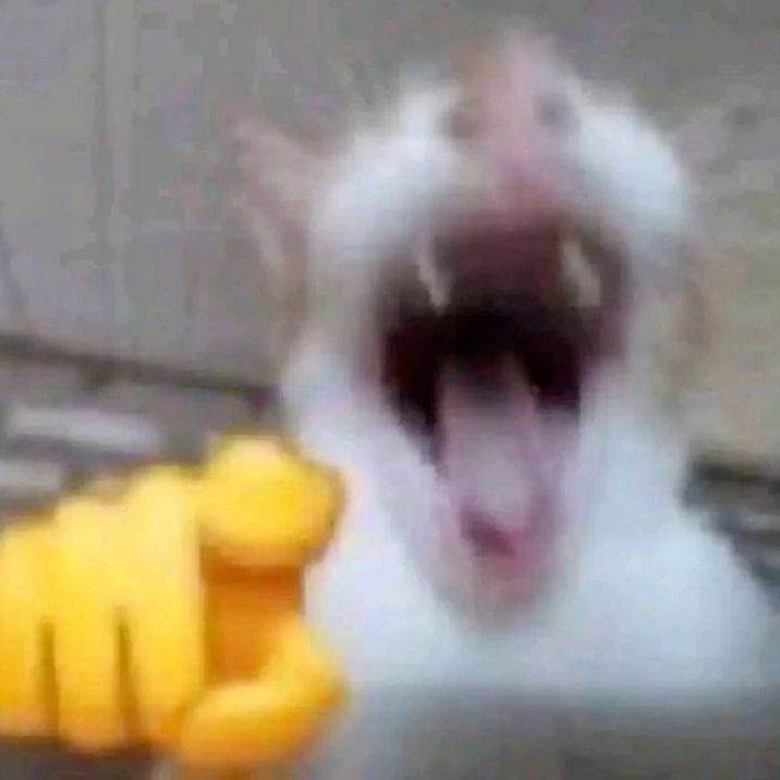 Arsen00-