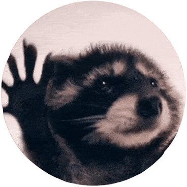 TheWackySeal
