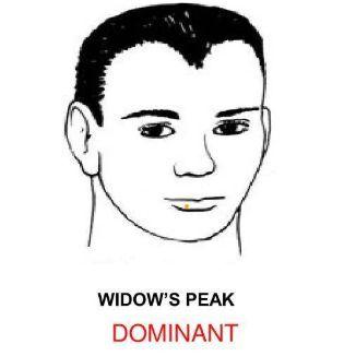 widowpeak avatar