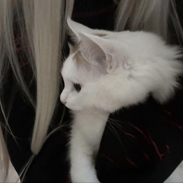 qkeiko avatar