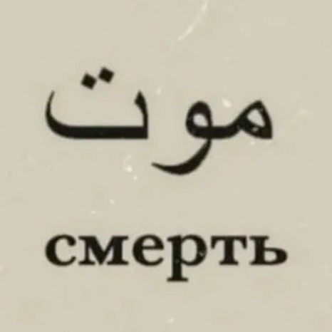 Ameeni
