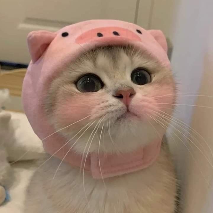 sanyauefa2