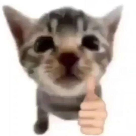 tropooo