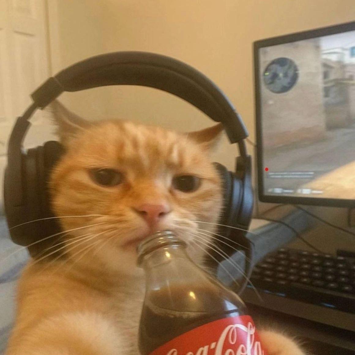 Prtrovi4 avatar