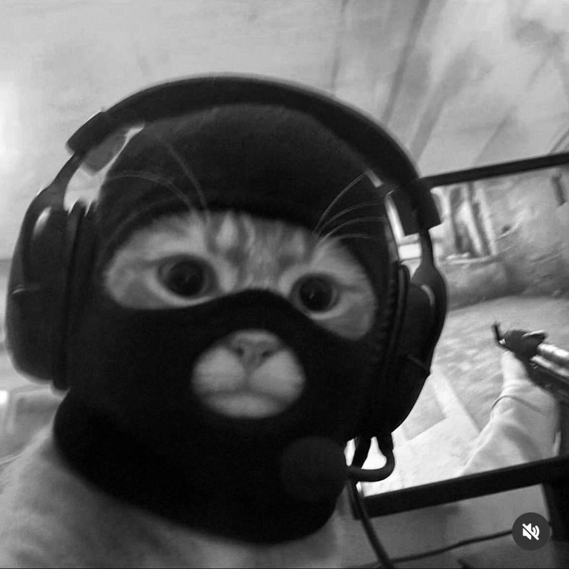 PENC1L avatar