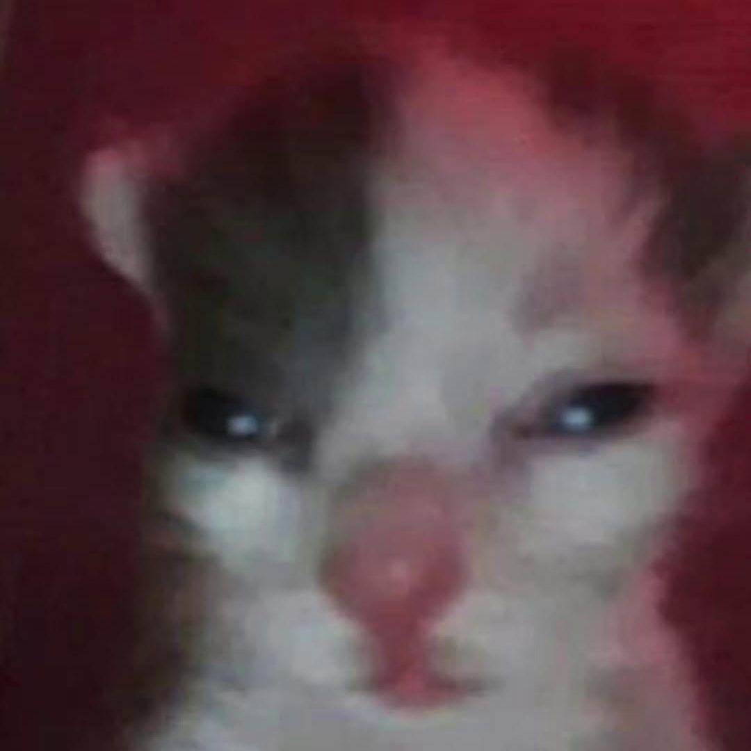 dimon7462 avatar