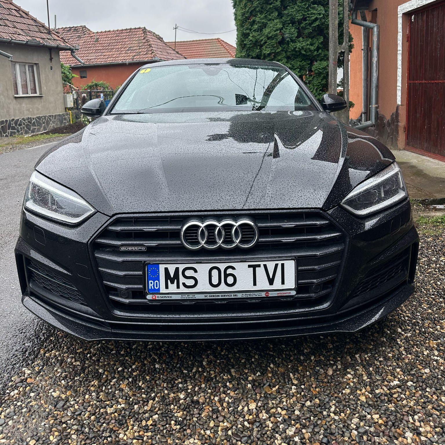 Tavii2875
