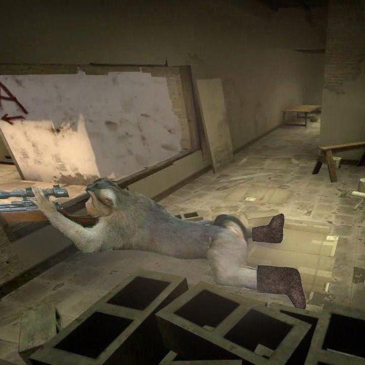 Shamanul69 avatar
