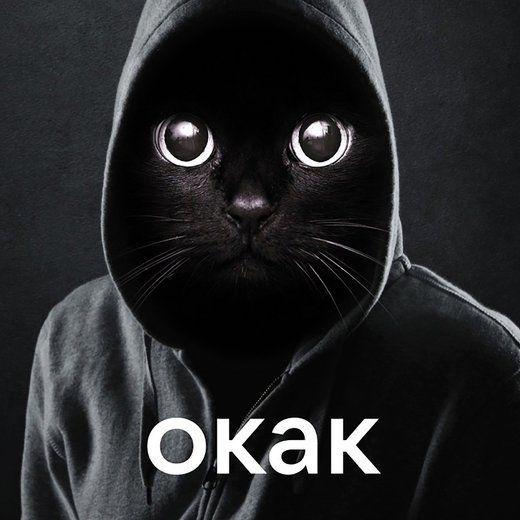 shmixt16 avatar
