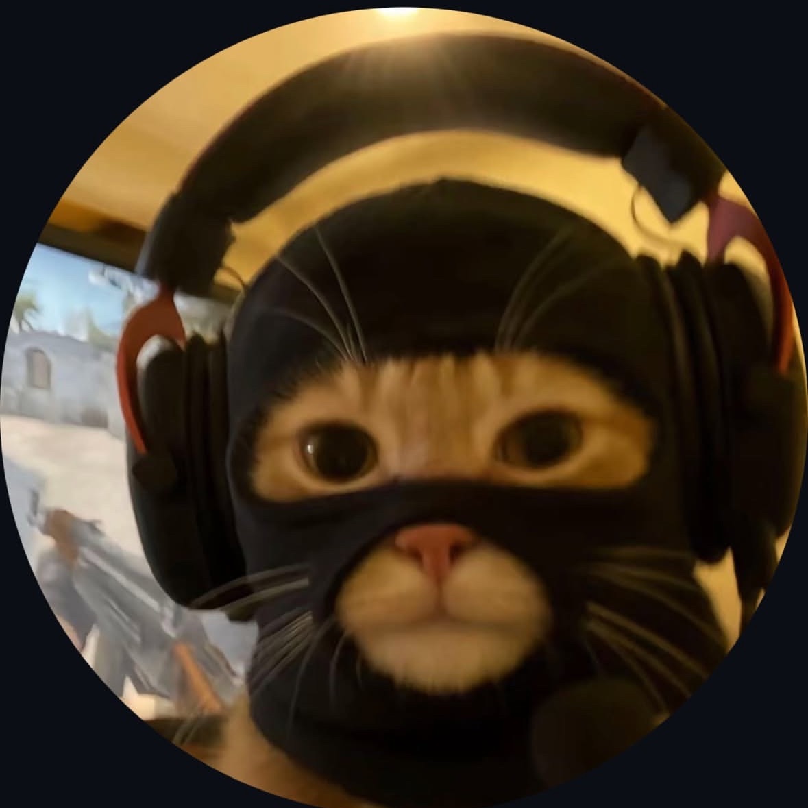 team_Iqoqo