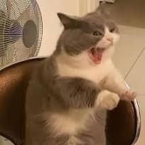 Marttuu