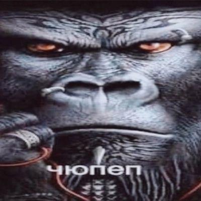 DaoLongWong avatar