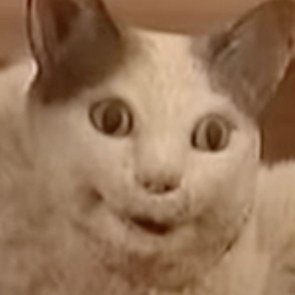 treekala avatar