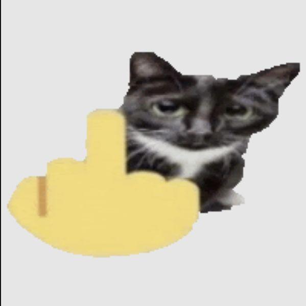 NieQku