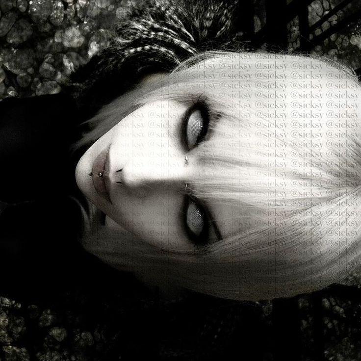 alohha_ avatar