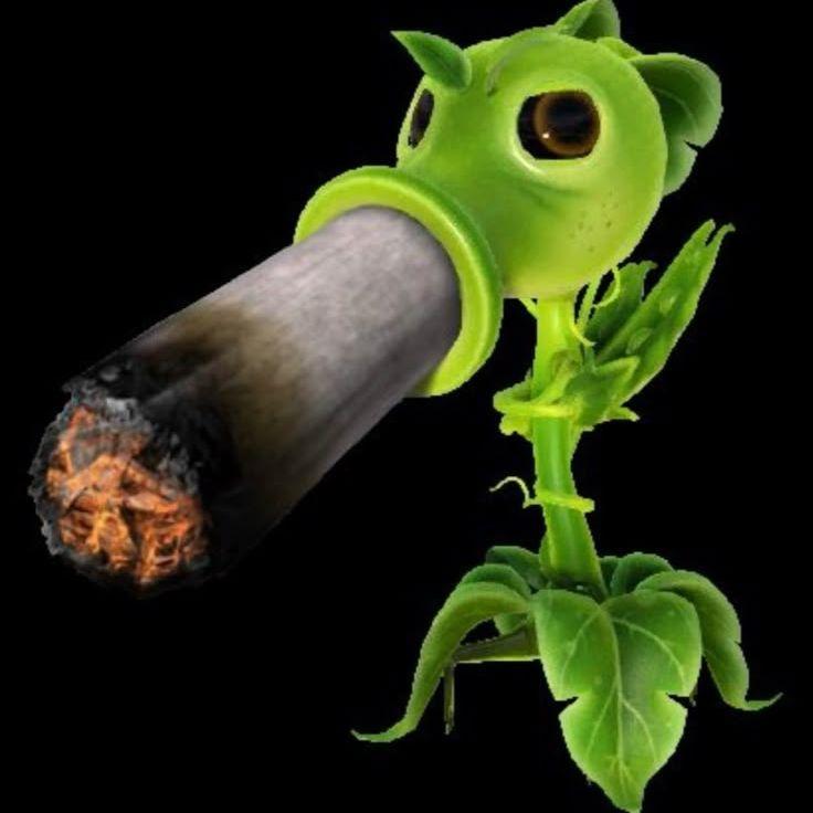 emerkald avatar