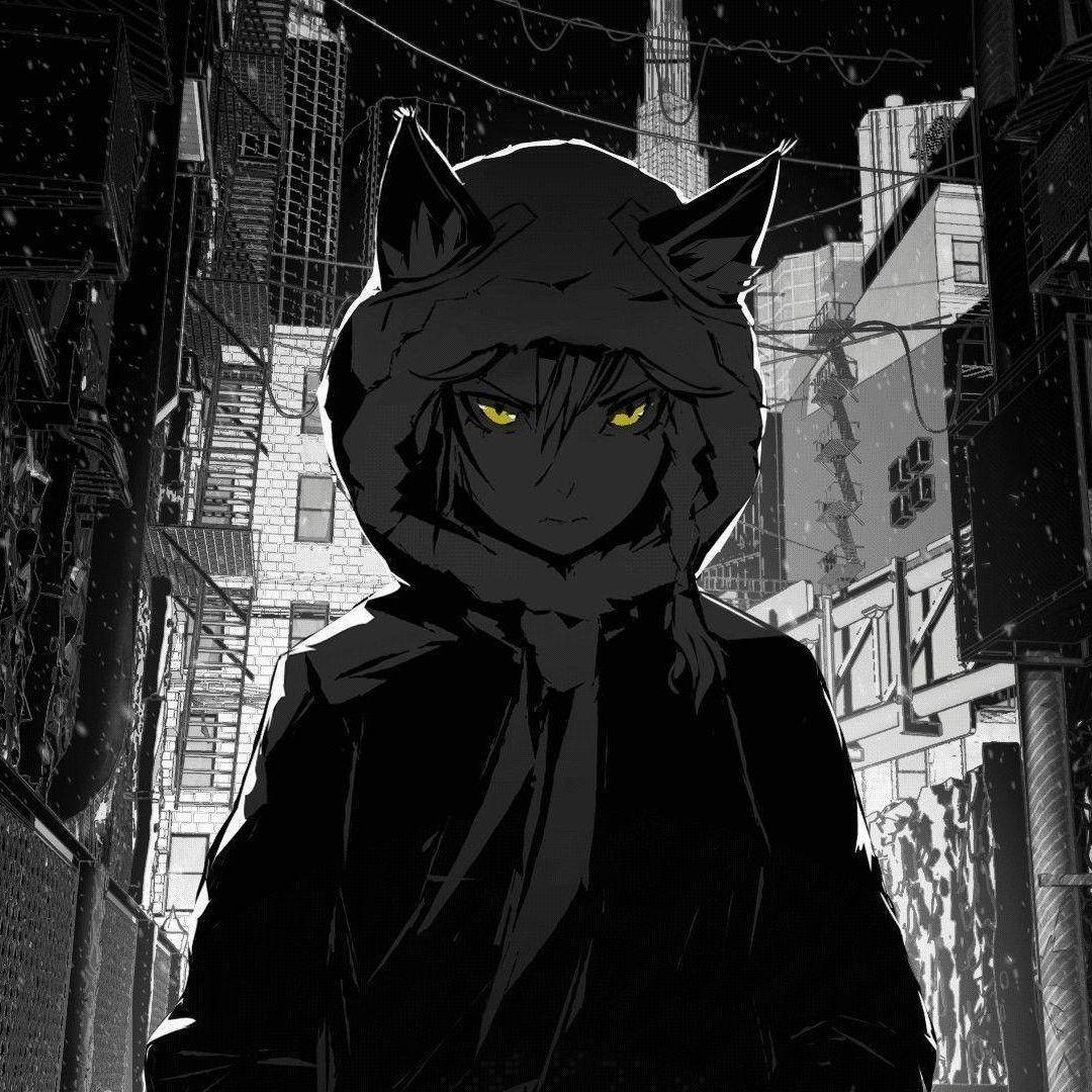 crushzin10 avatar