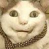 Keferd avatar