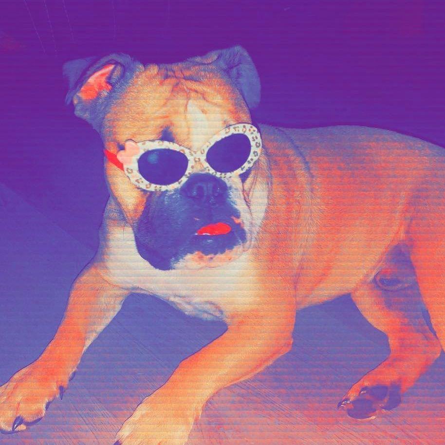 steinzzz avatar