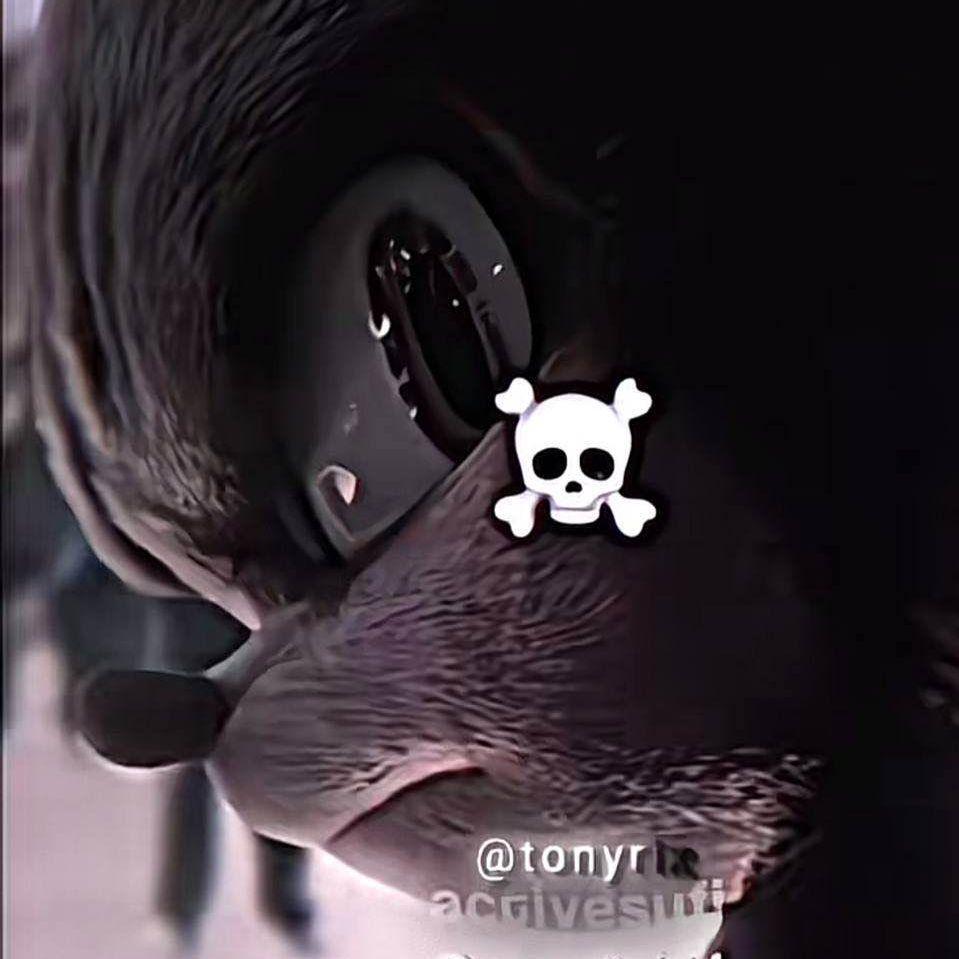 Forzik3