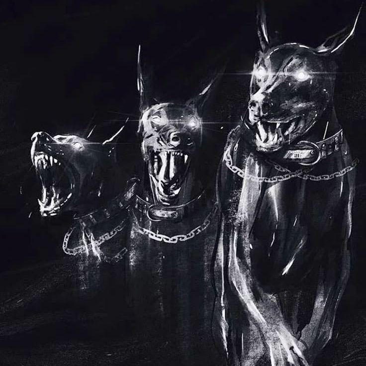 braner666 avatar