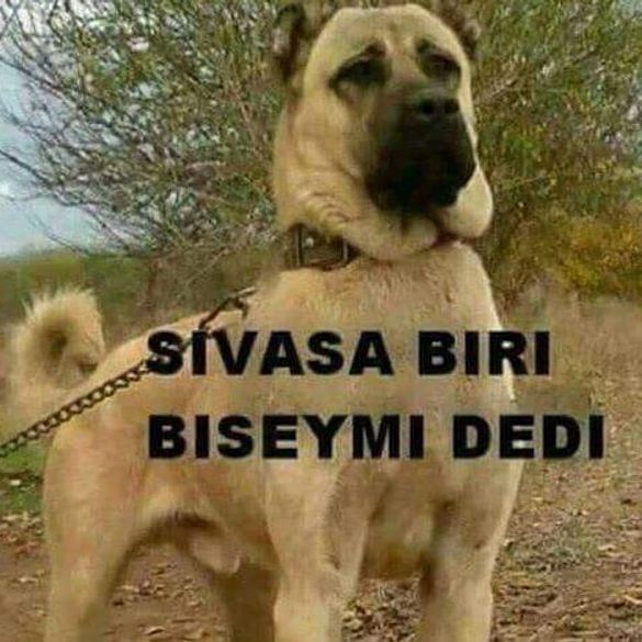 SevdaSivas58