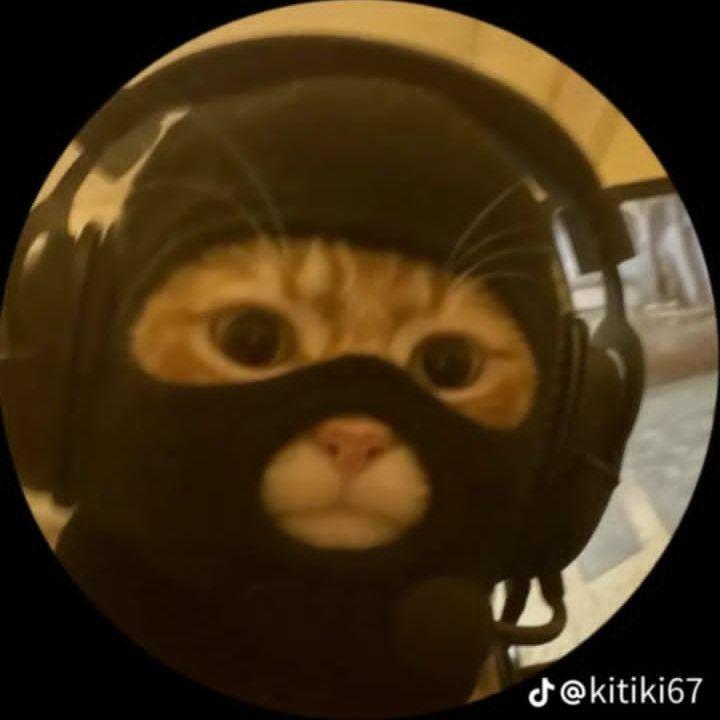 ISJMI avatar