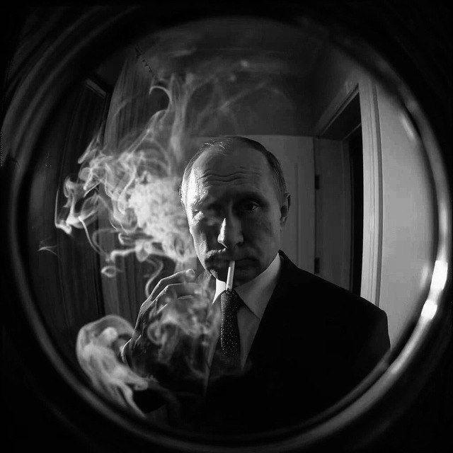 khelmyanov avatar