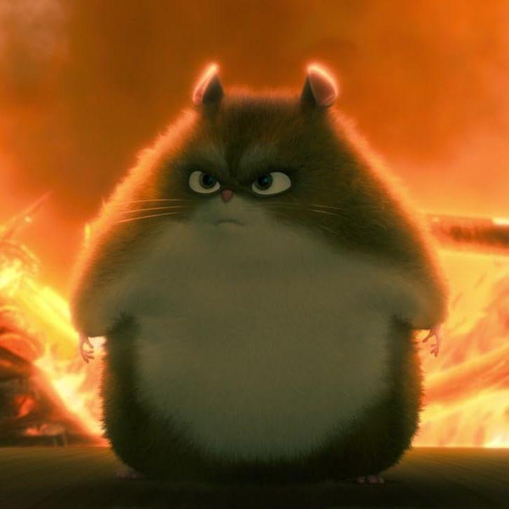 Superhamster avatar