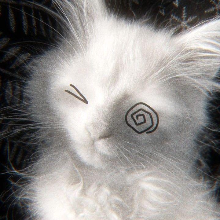 szczypior33 avatar