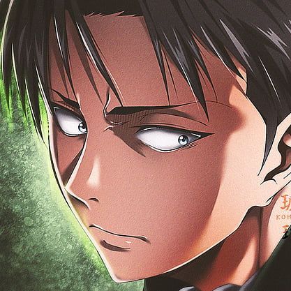 levi_exe