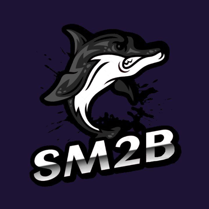 SkunkCS avatar