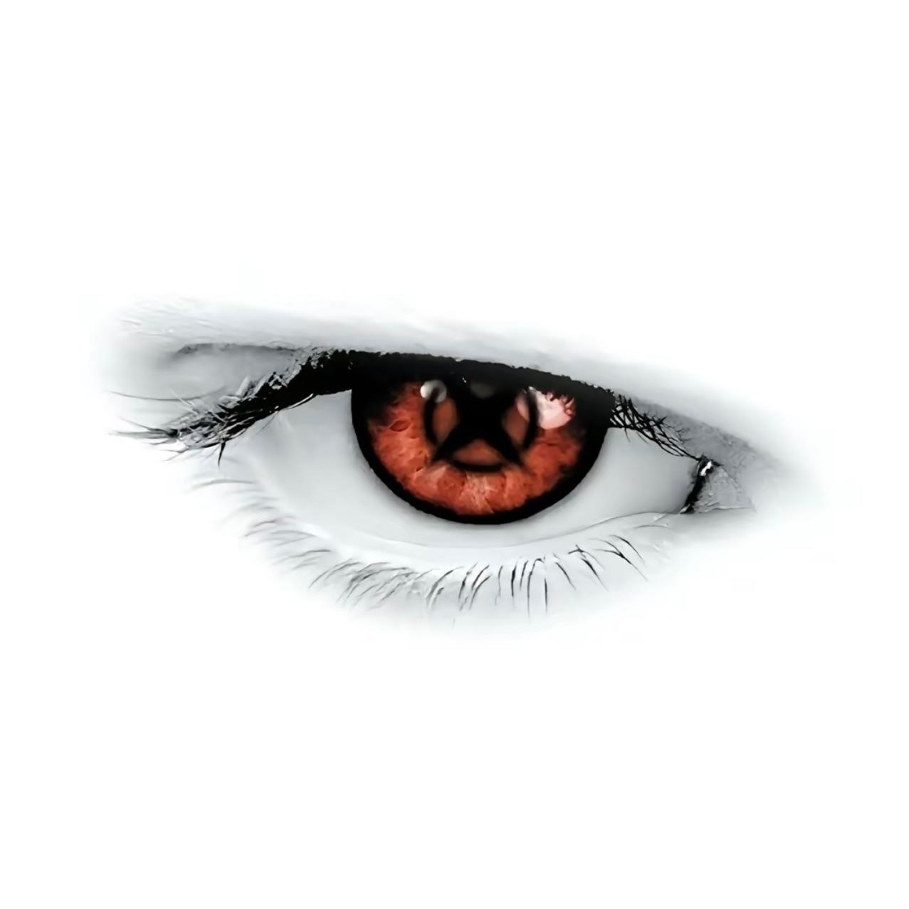moshp1t_ avatar