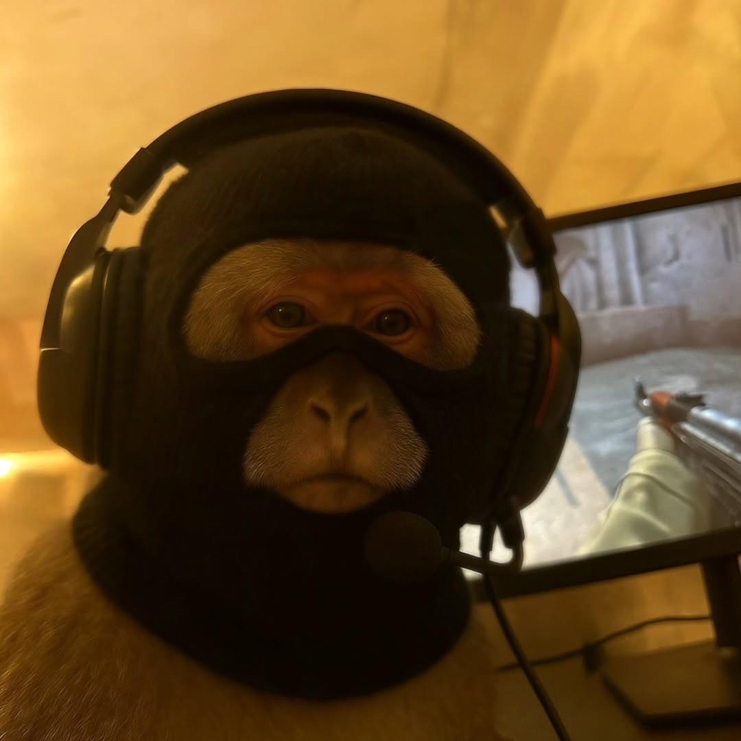 Zaxelele avatar