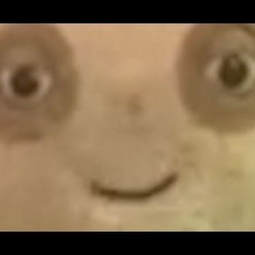 Gnico0