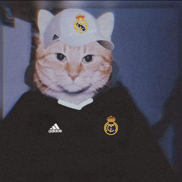 neApostle avatar