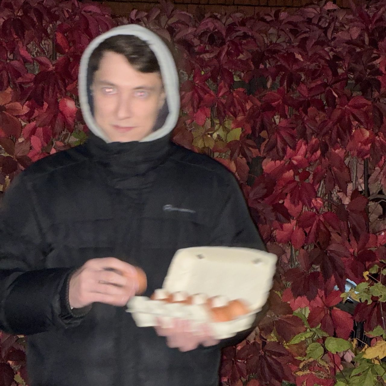Skamsk_