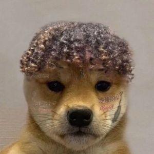 Fr4ySt3r avatar