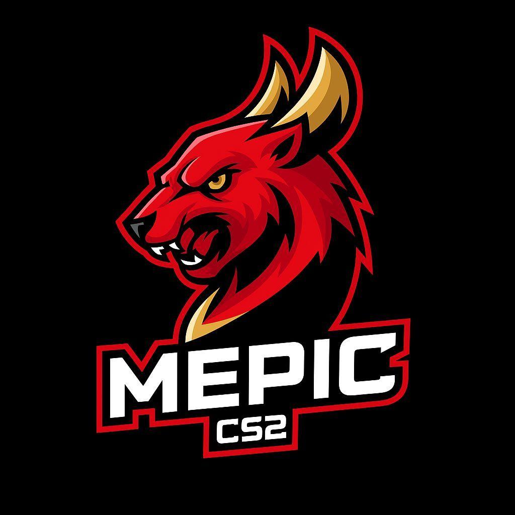 1337easyCs avatar