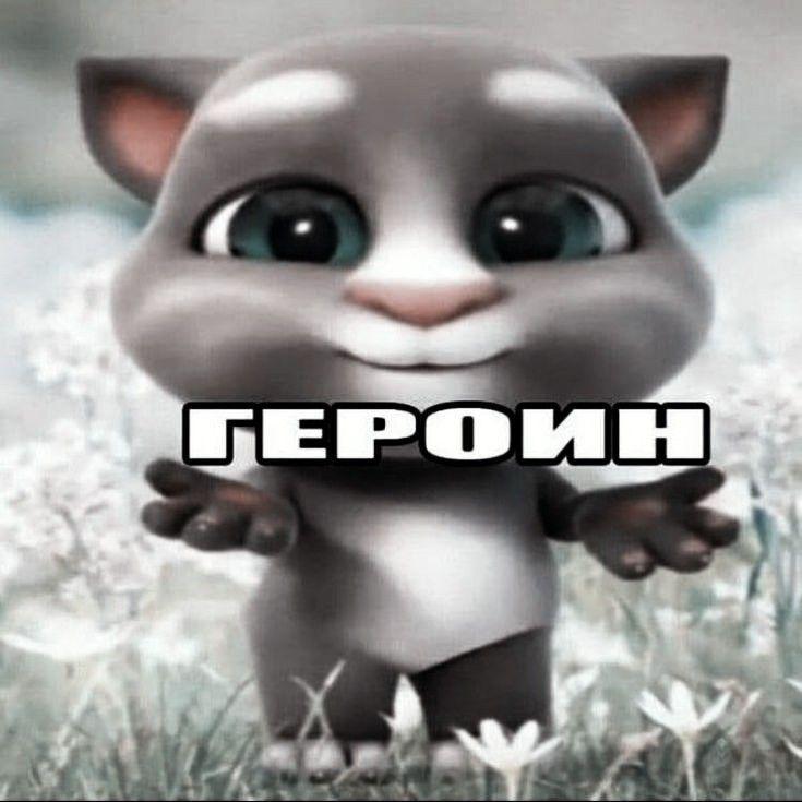 caban666 avatar