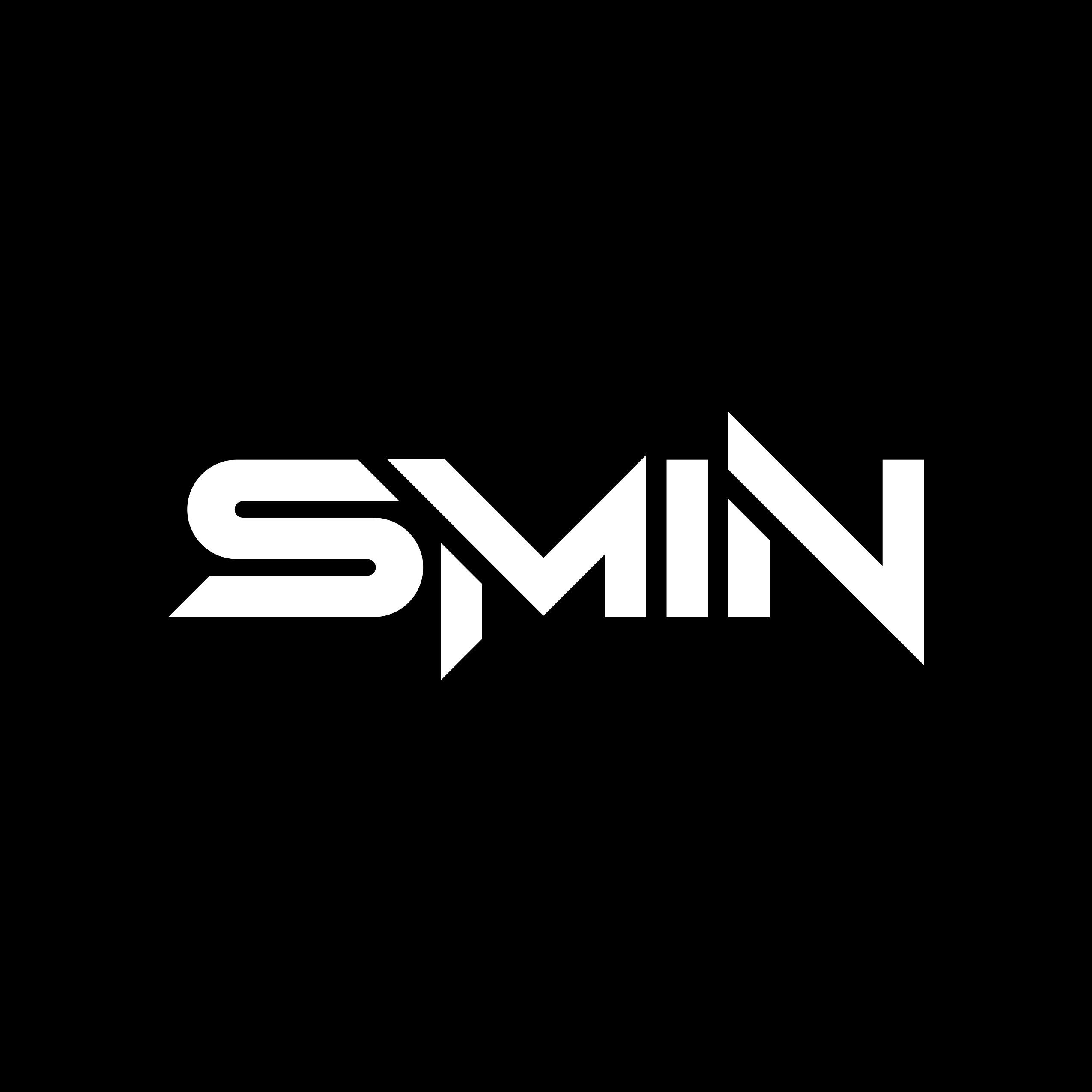 team_-smiN-