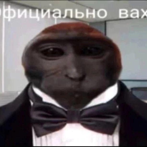 alwatore avatar