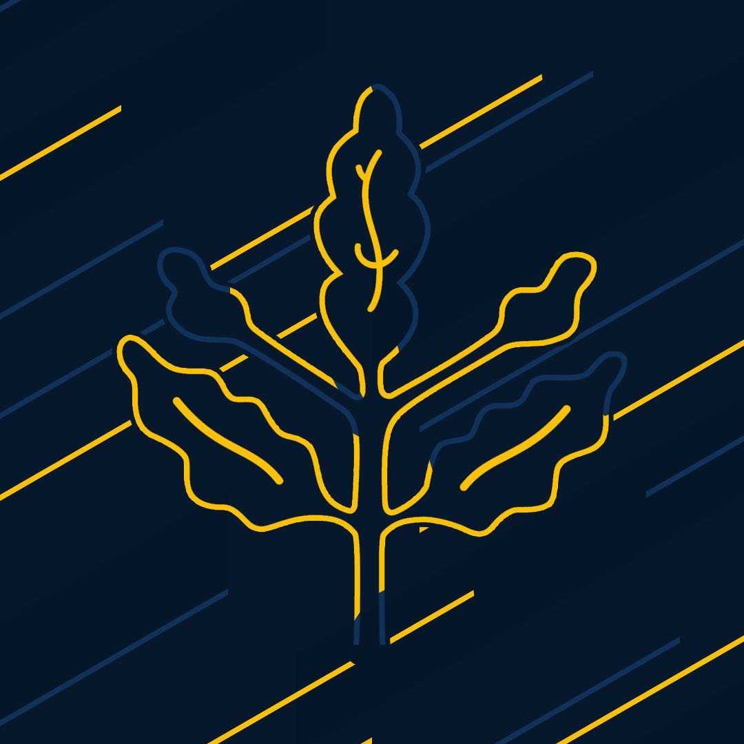 PORTHOS28 avatar