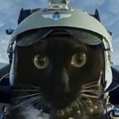 TomD9104 avatar