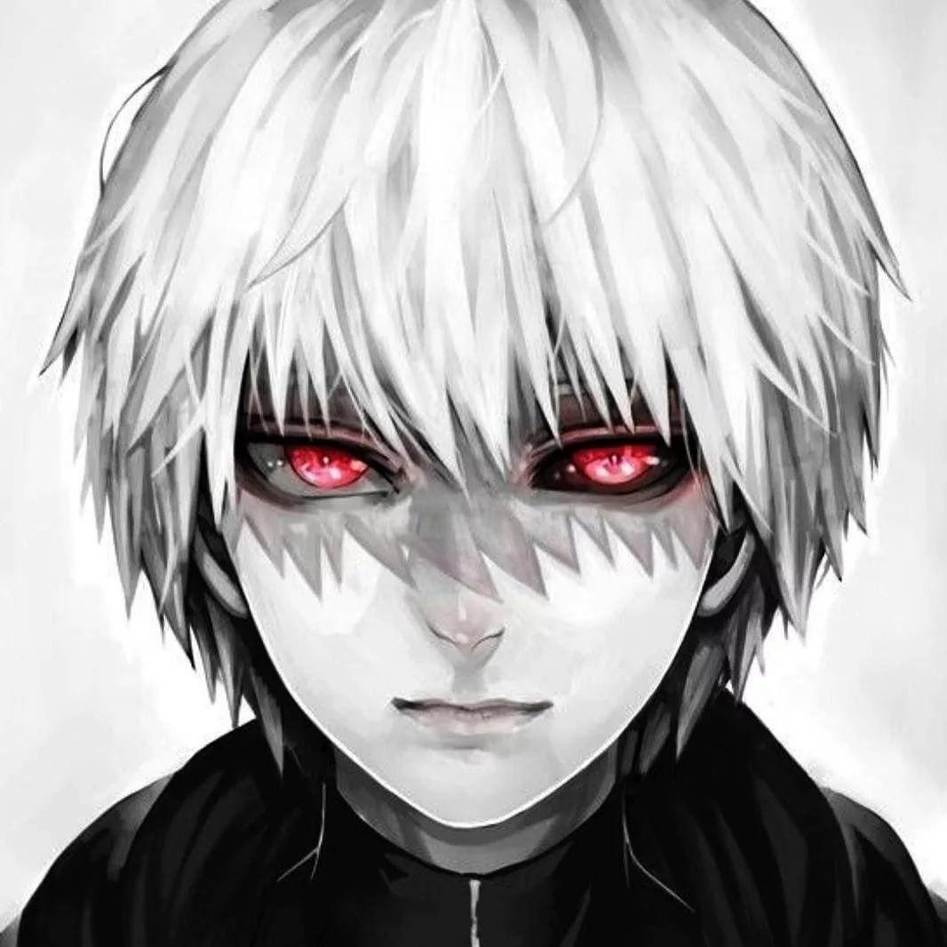 anaf1n avatar