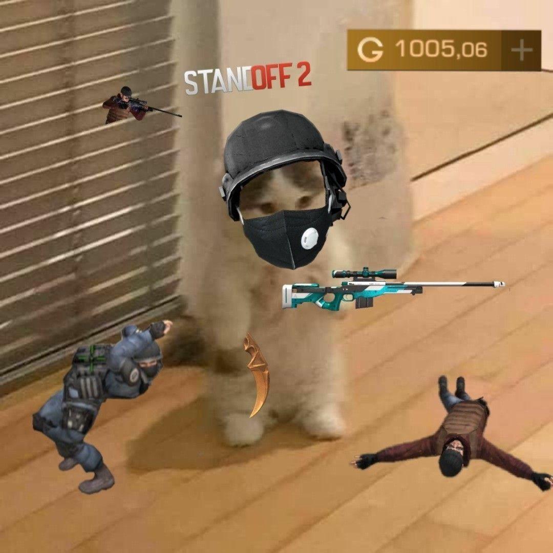 m0lusk