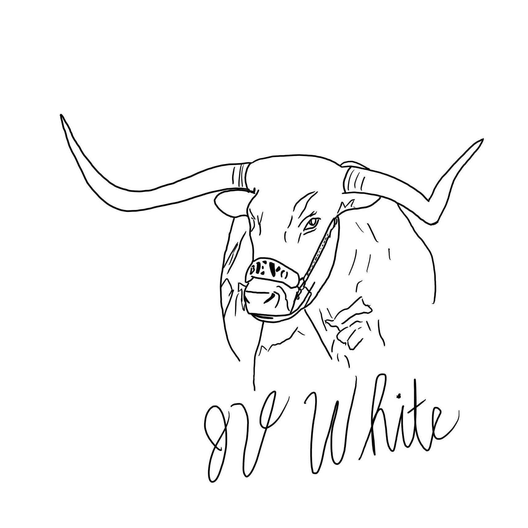 Texas JV White